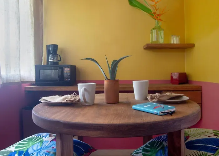 Hotel Albatros By Bedsfriends (adults Only) Cozumel