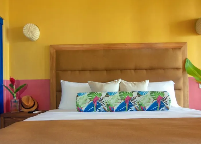 Hotel Albatros By Bedsfriends (adults Only) Cozumel