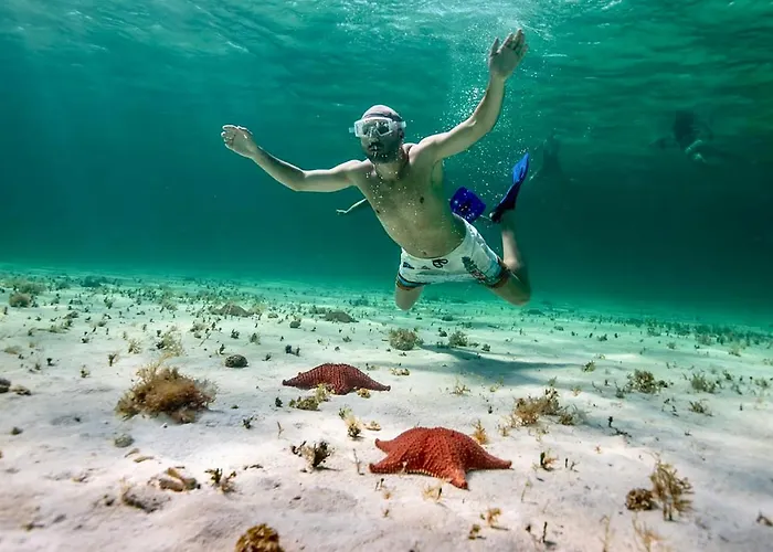 Albatros By Bedsfriends (adults Only) Cozumel