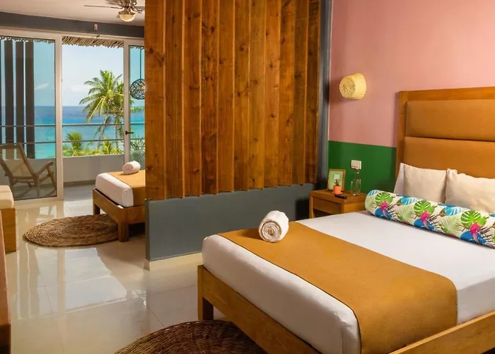 Hotel Albatros By Bedsfriends (adults Only) Cozumel
